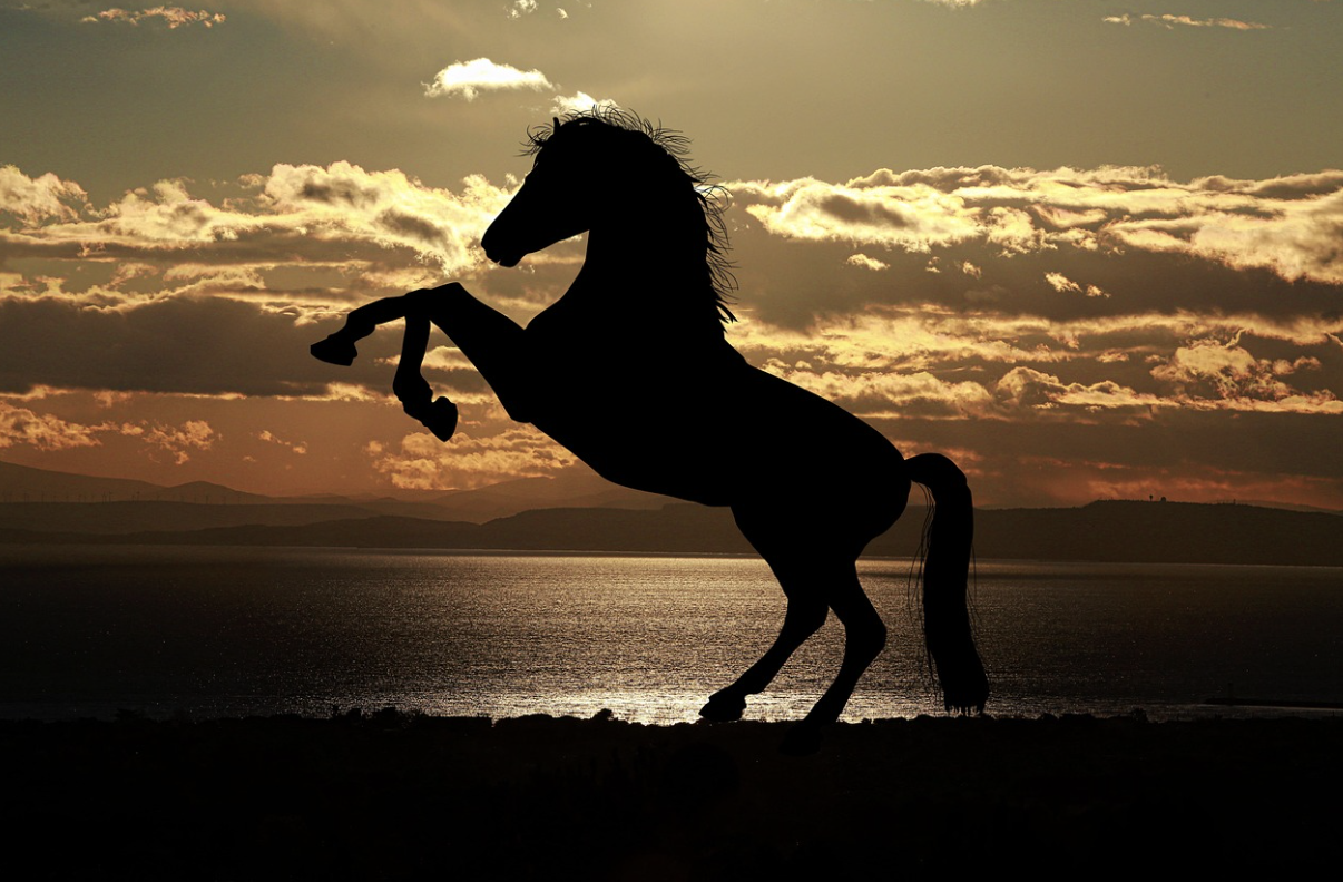 2026年赤馬年注意!命理師警告「5生肖最慘」陷重災區 火能量爆棚「健康、工作都有危機」看如何化解