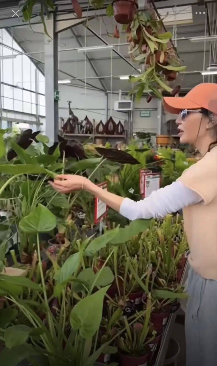 超樸實無華！61歲影后被拍「一頭歐巴桑捲髮」　瘦到皮包骨「買打折商品樂歪」：最真實的巨星