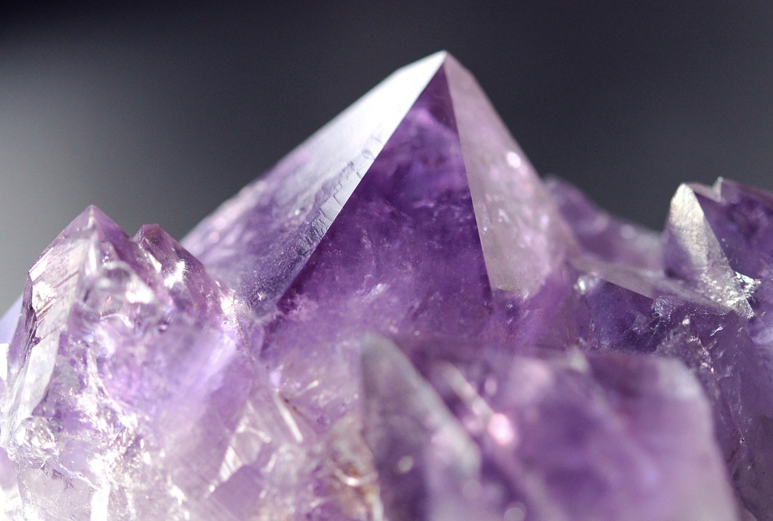 重要節氣堪比過年！命理師提醒「冬至不只要吃湯圓」　改運黃金時機「12生肖去雜氣方式」一次看