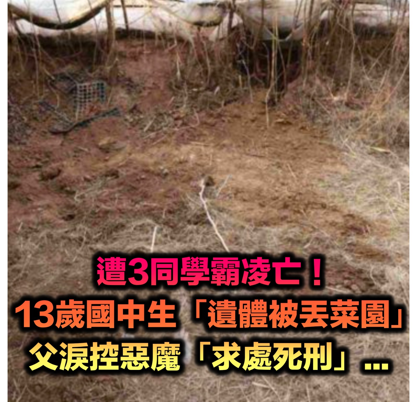 人神共憤！13歲國中生「遭3同學霸凌身亡」丟棄菜園　父淚控惡魔「一開始還說謊」：拜託死刑！