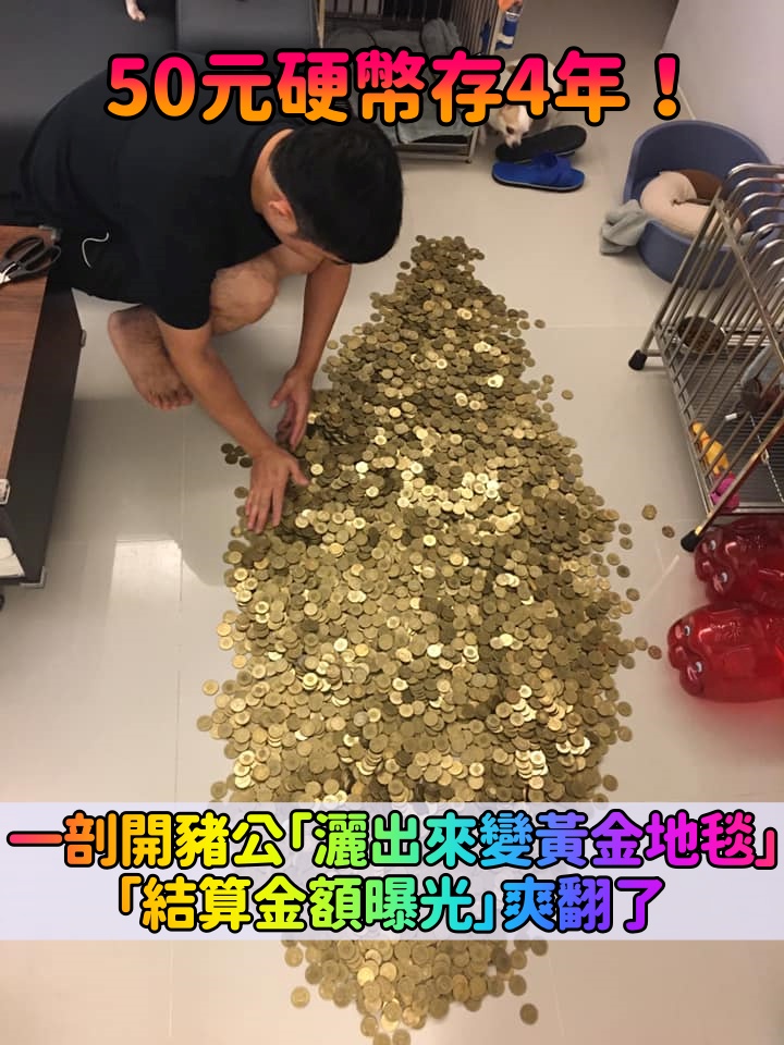 宰豬公救經濟！存4年硬幣「灑出來變黃金地毯」　結算「50公斤私房錢」網嗨：可以付頭期款