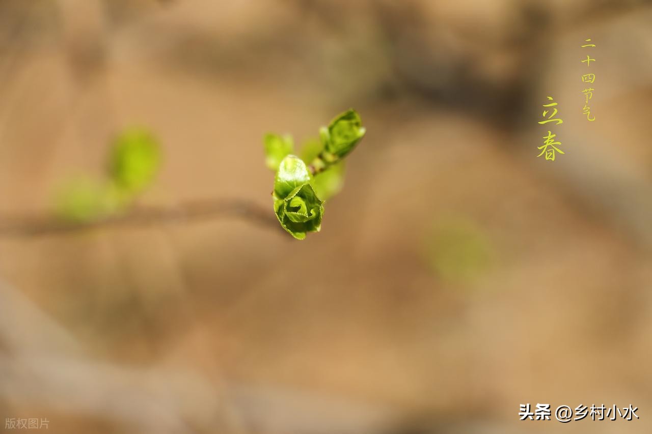 1/20「大寒」60年一遇不一般！過年冷還暖「看今天就知道」：注意2事平安過冬