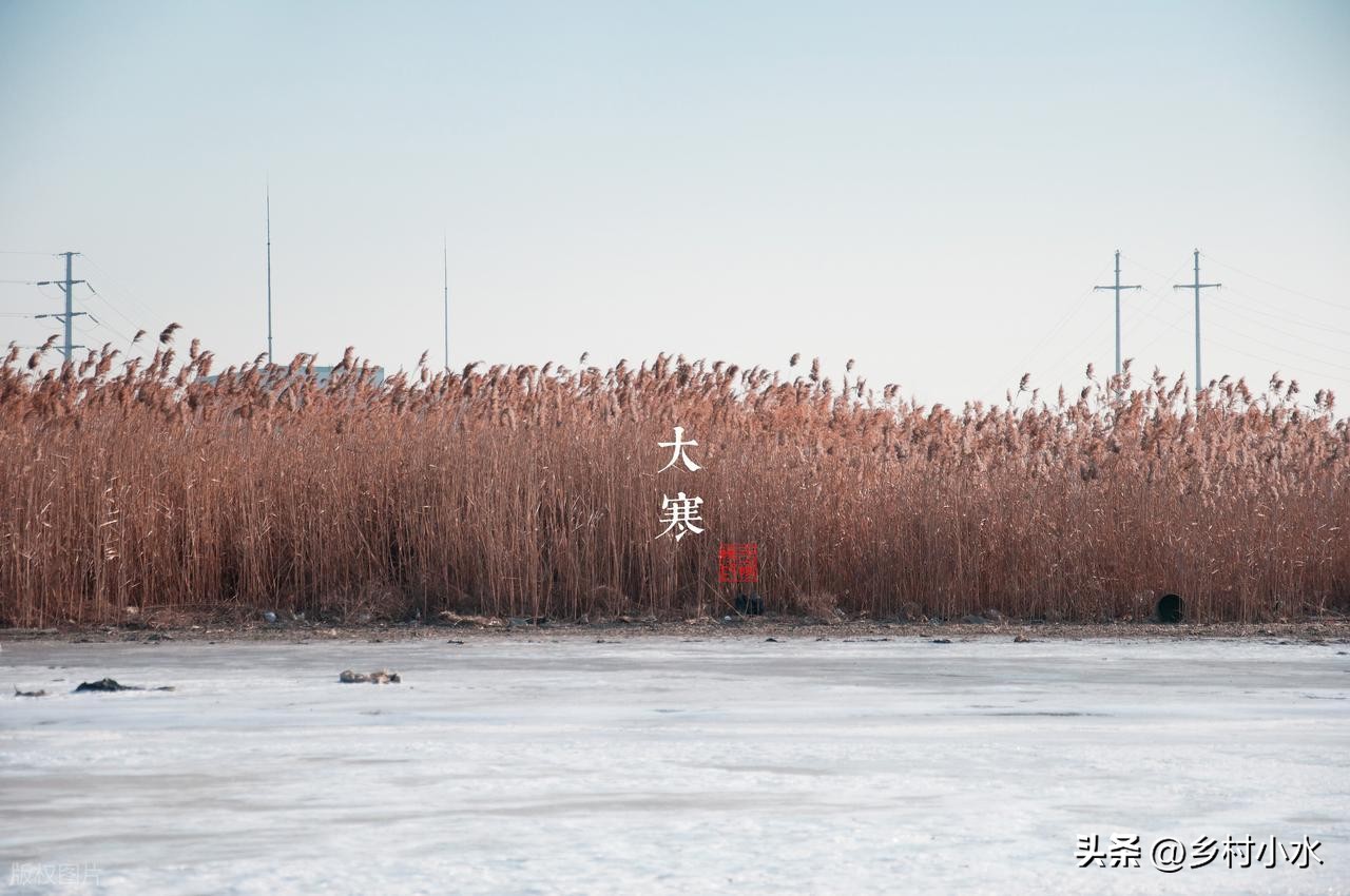 1/20「大寒」60年一遇不一般！過年冷還暖「看今天就知道」：注意2事平安過冬