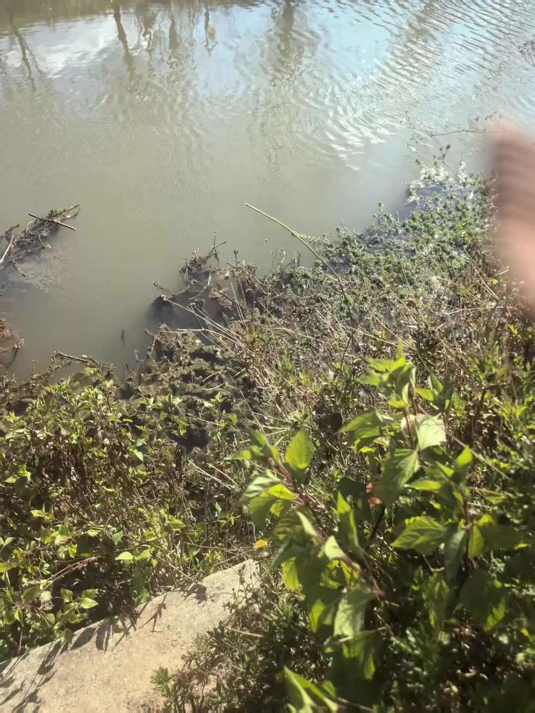 不到5分鐘！13歲男童驚傳「遭六旬老婦殺害」　家屬痛哭「曝殘忍原因」