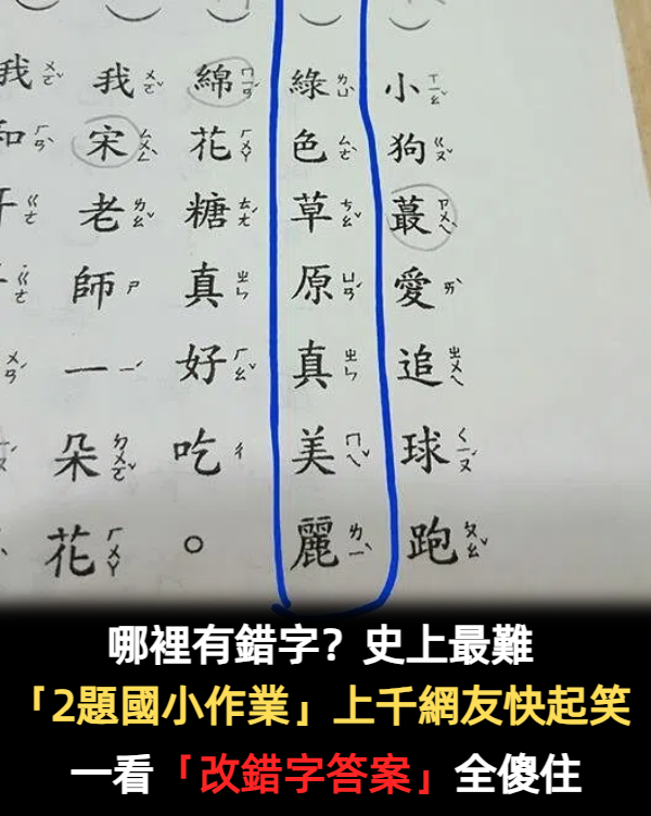 哪裡有錯字？史上最難「2題國小作業」上千網友快起笑　當分析出「改錯字答案」瞬間無言了