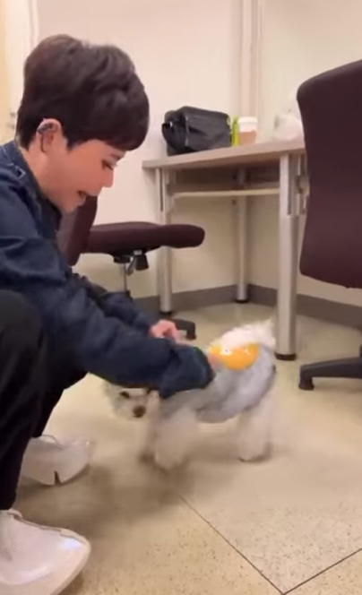 多次開腦續命!58歲詹雅雯遭嗆「為賣票裝病」 家中突昏倒「驚喜宣布新身分」親揭病情:是真的