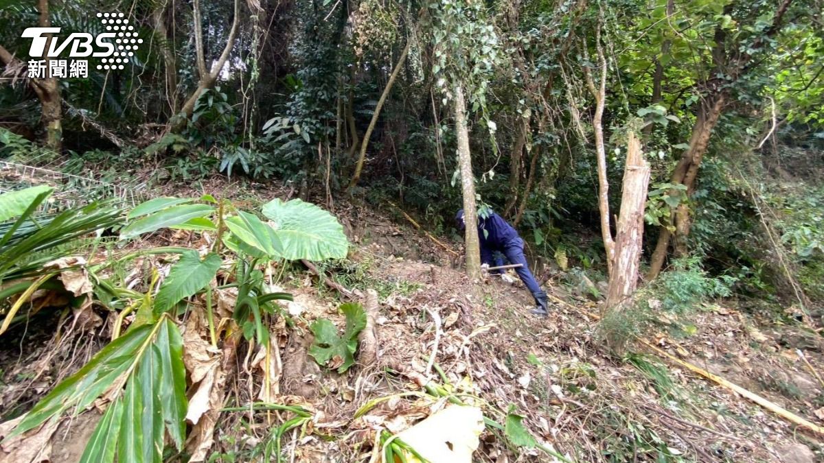 台中二寶媽「產後憂鬱發作」失蹤10年!如今在「竹筍園找到她了」....