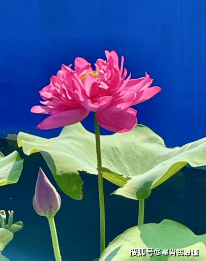 財神爺點名啦！2026年上半年「吉星照耀4生肖」：事業大躍進、財運翻紅