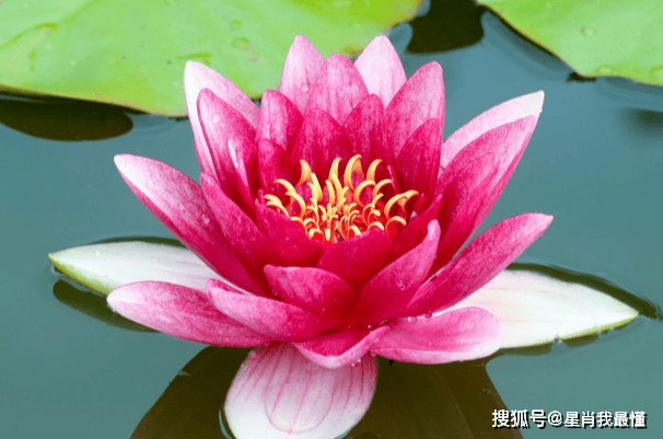 財神爺點名啦！2026年上半年「吉星照耀4生肖」：事業大躍進、財運翻紅