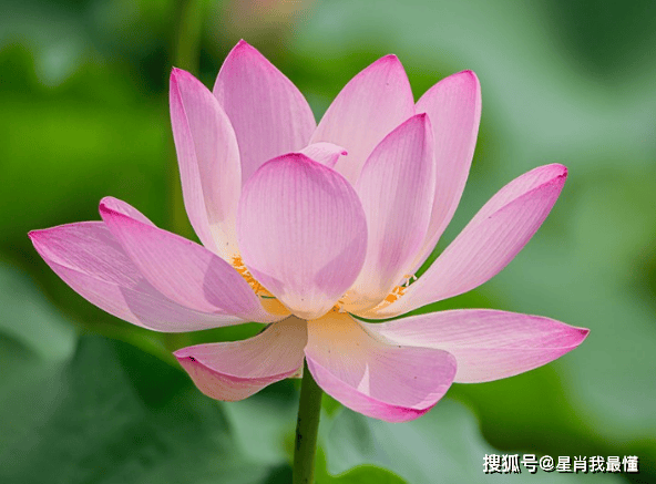 財神爺點名啦！2026年上半年「吉星照耀4生肖」：事業大躍進、財運翻紅