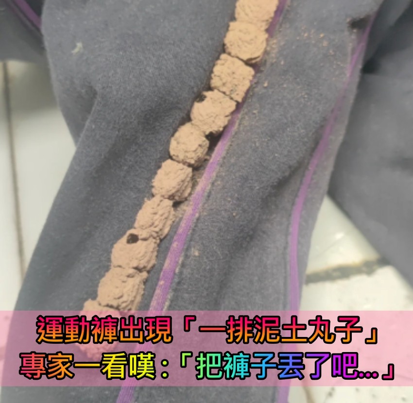 這樣還能穿嗎！運動褲上「出現一排泥土丸子」超詭異　專家一看「搖頭嘆氣」：把褲子放生吧