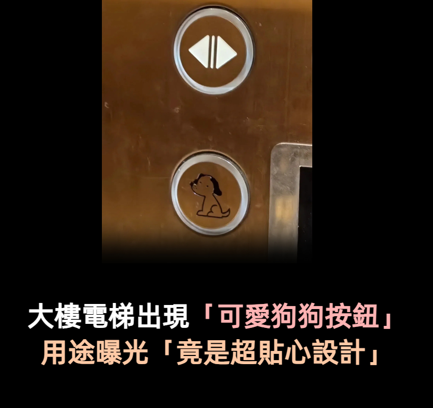 大樓電梯出現「可愛狗狗按鈕」究竟有什麼用意? 內行曝用途「根本超貼心設計」