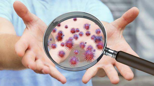 最新/台北市首例「漢他病毒死亡」!70歲翁染病8天亡 醫警告「大掃除務必做2事」