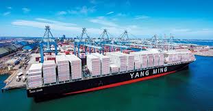 快訊／陽明海運出事了！官方「緊急介入調查」