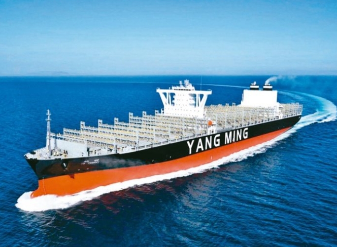 快訊／陽明海運出事了！官方「緊急介入調查」