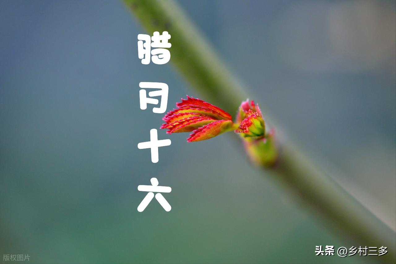 明天2/3是「絕日」！立春前一天，命理師警告：無論多忙「4件事」別犯忌諱