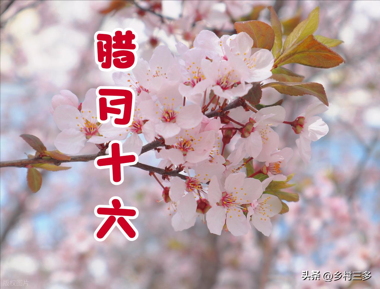 明天2/3是「絕日」！立春前一天，命理師警告：無論多忙「4件事」別犯忌諱