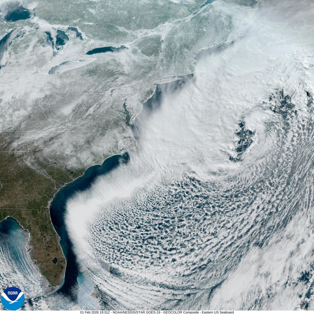 最新/美國驚爆緊急狀態「至少死傷百人以上」