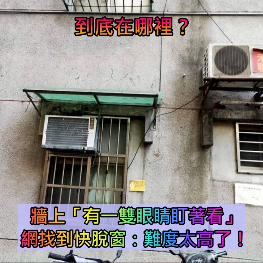 大家來找碴！平凡民宅牆上「有一雙眼睛盯著看」　網友狂看「發現超妙保護色」：沒人找得到