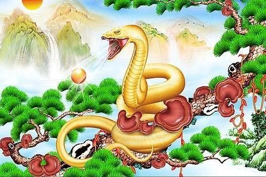 隱藏版人生贏家！天生有才華「但卻很低調」3生肖　賺錢路上貴人多「生活富足煩惱少」