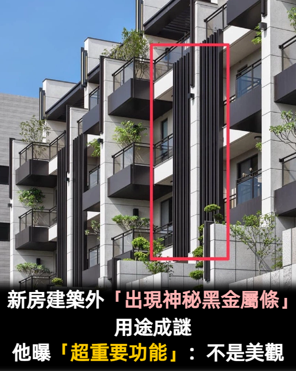 新房建築外「出現神秘黑金屬條」用途成謎　神網友曝設計「不只是為了美觀」：還有重要功能