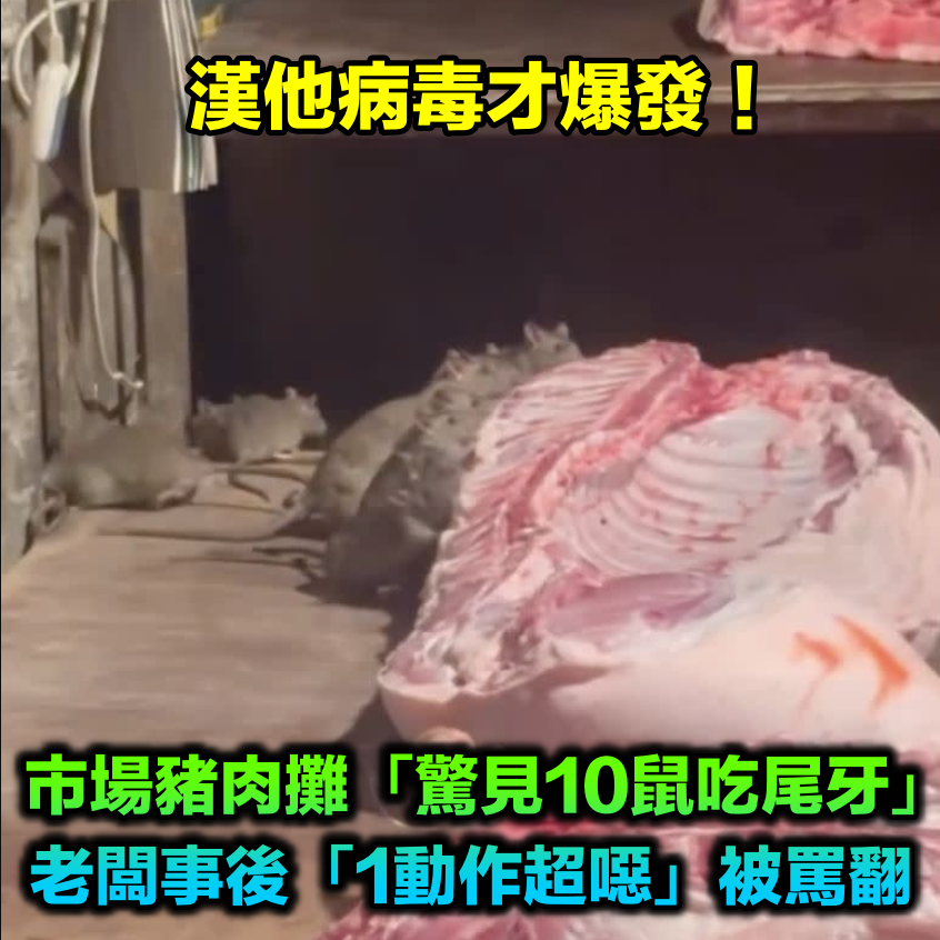 漢他病毒才爆發！市場豬肉攤「驚見10鼠吃尾牙」　老闆事後「1動作被罵翻」衛生局要查了