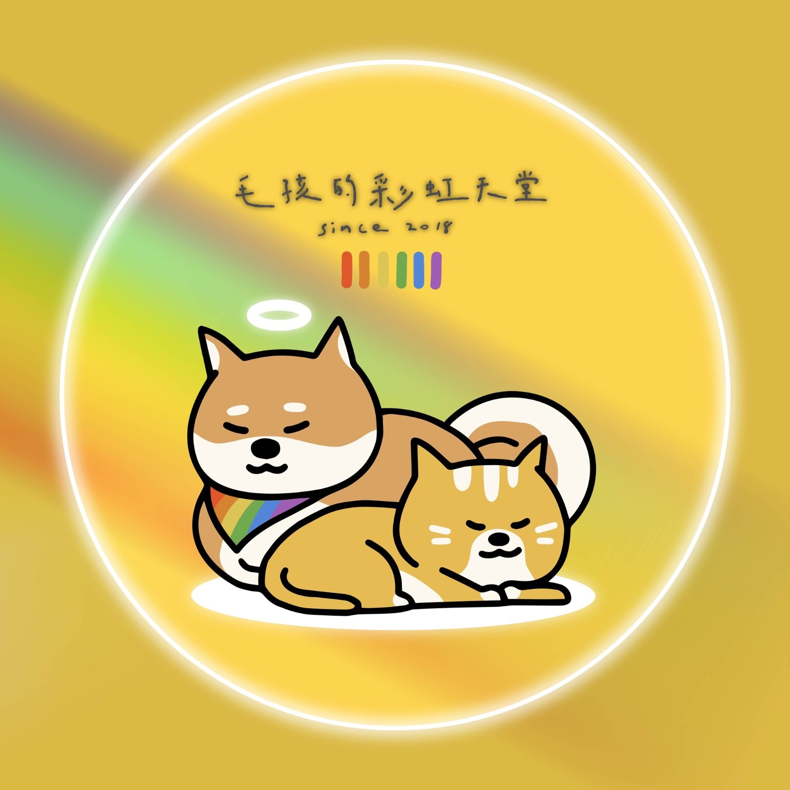 快訊／侵占531萬善款挨告！台灣動保企業負責人「被發現陳屍住處」