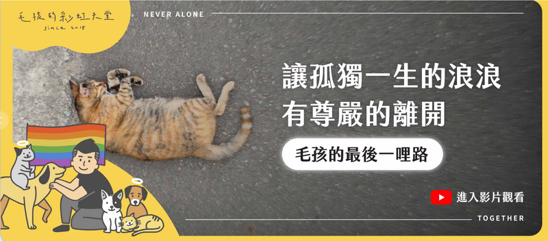 快訊／侵占531萬善款挨告！台灣動保企業負責人「被發現陳屍住處」