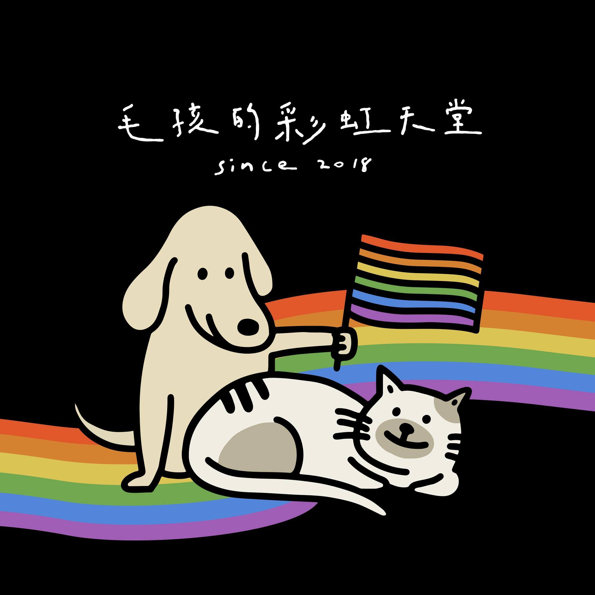 快訊／侵占531萬善款挨告！台灣動保企業負責人「被發現陳屍住處」