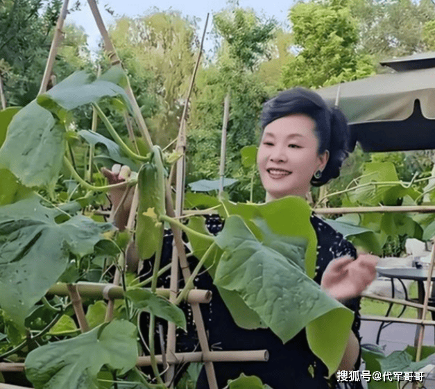 離婚後成單親媽！59歲歌后退圈「帶女兒嫁給粉絲」　多年後「被爆窮困潦倒」消失近況曝光...