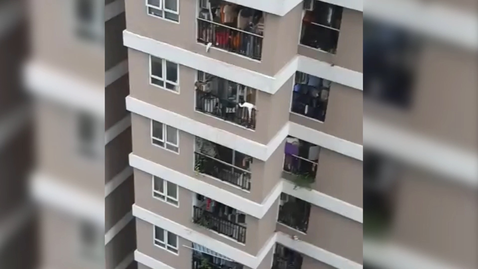 偷偷跑去見男友！15歲少女「最後竟身亡」父母認屍痛哭