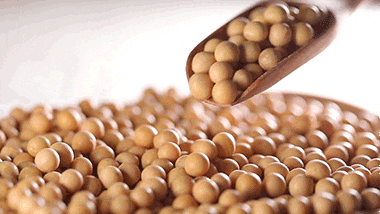 醫生：「降低壞膽固醇」的食物，這3種效果最好！