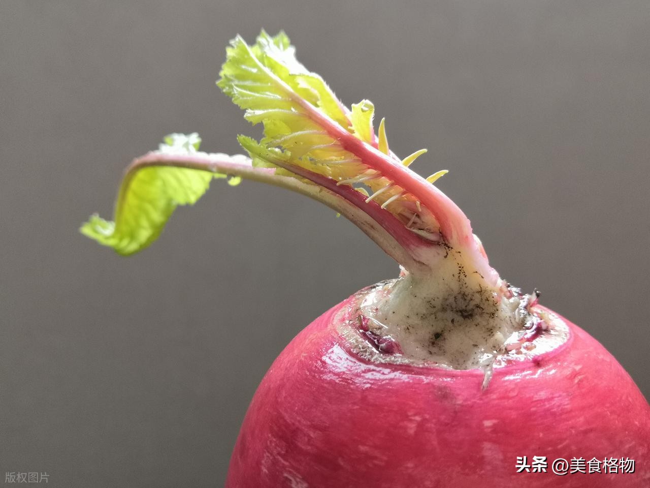 除夕夜將至！提醒你「3菜不上桌，福氣不進門」：遵守迎好運一整年