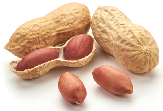 注意！醫師示警「這4種堅果」恐是膽息肉元凶：再愛吃也不行