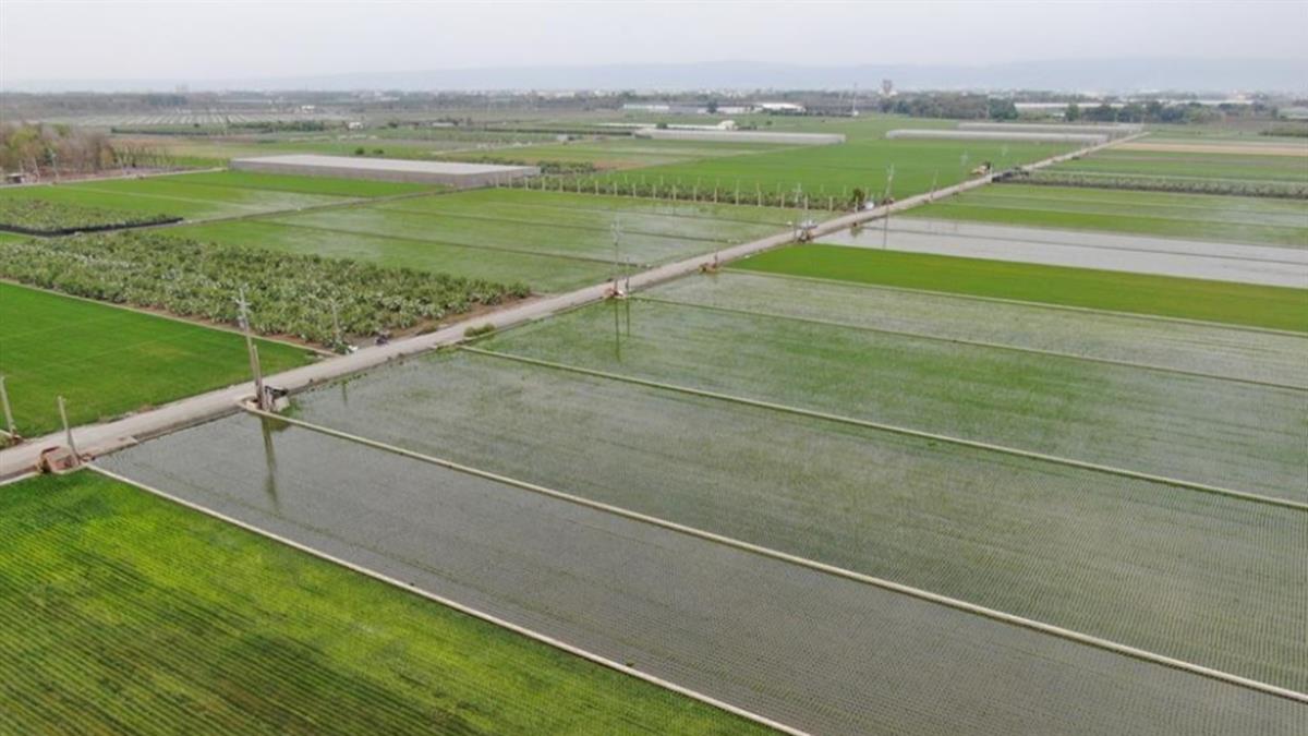 28歲「美國碩士田僑仔」來台徵婚！直接點名「3農業縣公主」：不看學歷