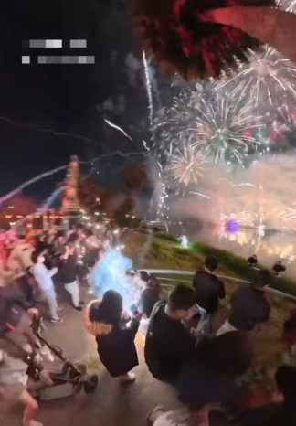 年前造禍!高雄蓮池潭「煙火轟向人群」有如砲彈 駭人畫面曝光「抱孩子狂逃命」
