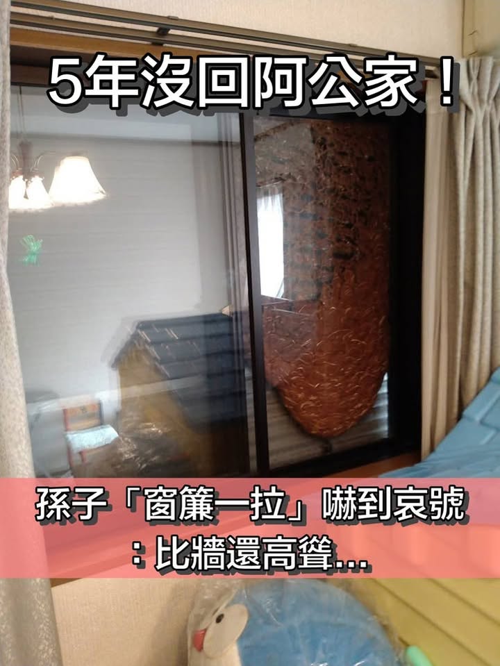  5年沒回阿公家！孫子窗簾一拉「落地式蜂窩牆」映入眼簾　「嚇到邊拉邊哀號」萬人頭皮發毛