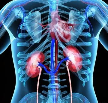 愛心補品變奪命毒湯?65歲男跌倒骨裂「妻天天熬一湯進補」 2週後送醫「腎病變末期」醫嚇傻