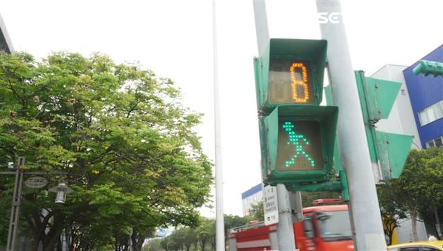 交通部預告「1違規」不再開罰!新制上路時間曝