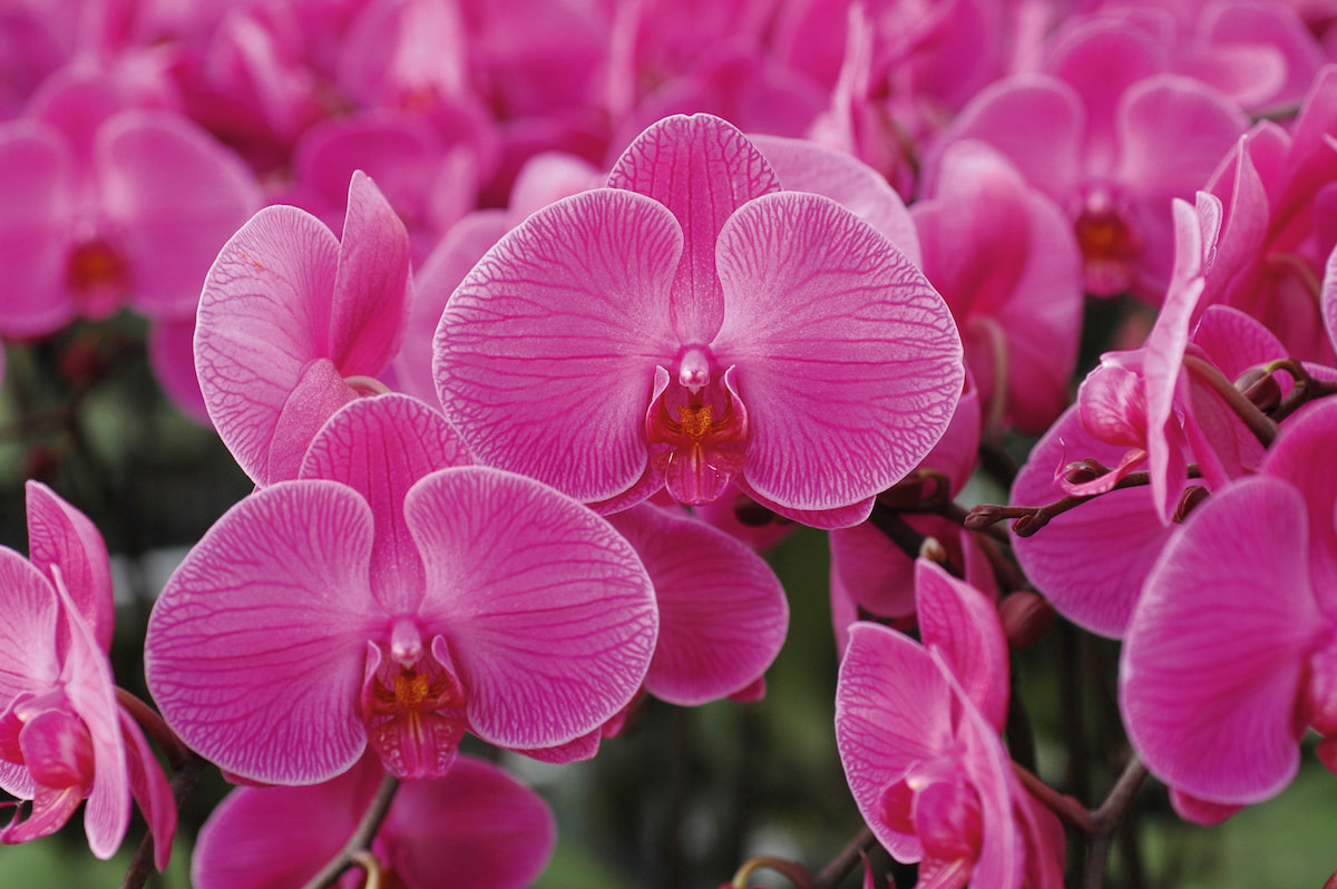 台灣專屬豁免沒了!川普新關稅「27項產品」輸美無零關稅