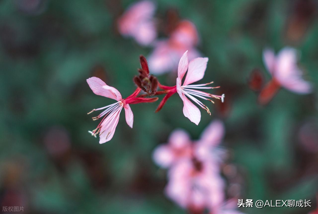 很準!老公有這3種特徵,說明你「嫁了一個好男人」:尤其第3點太寶貴