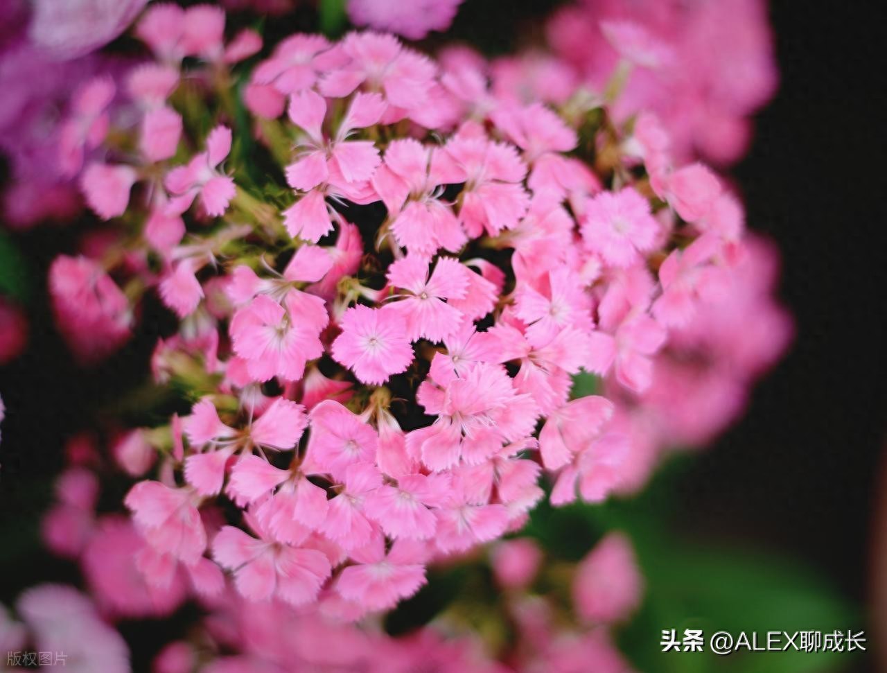 很準!老公有這3種特徵,說明你「嫁了一個好男人」:尤其第3點太寶貴