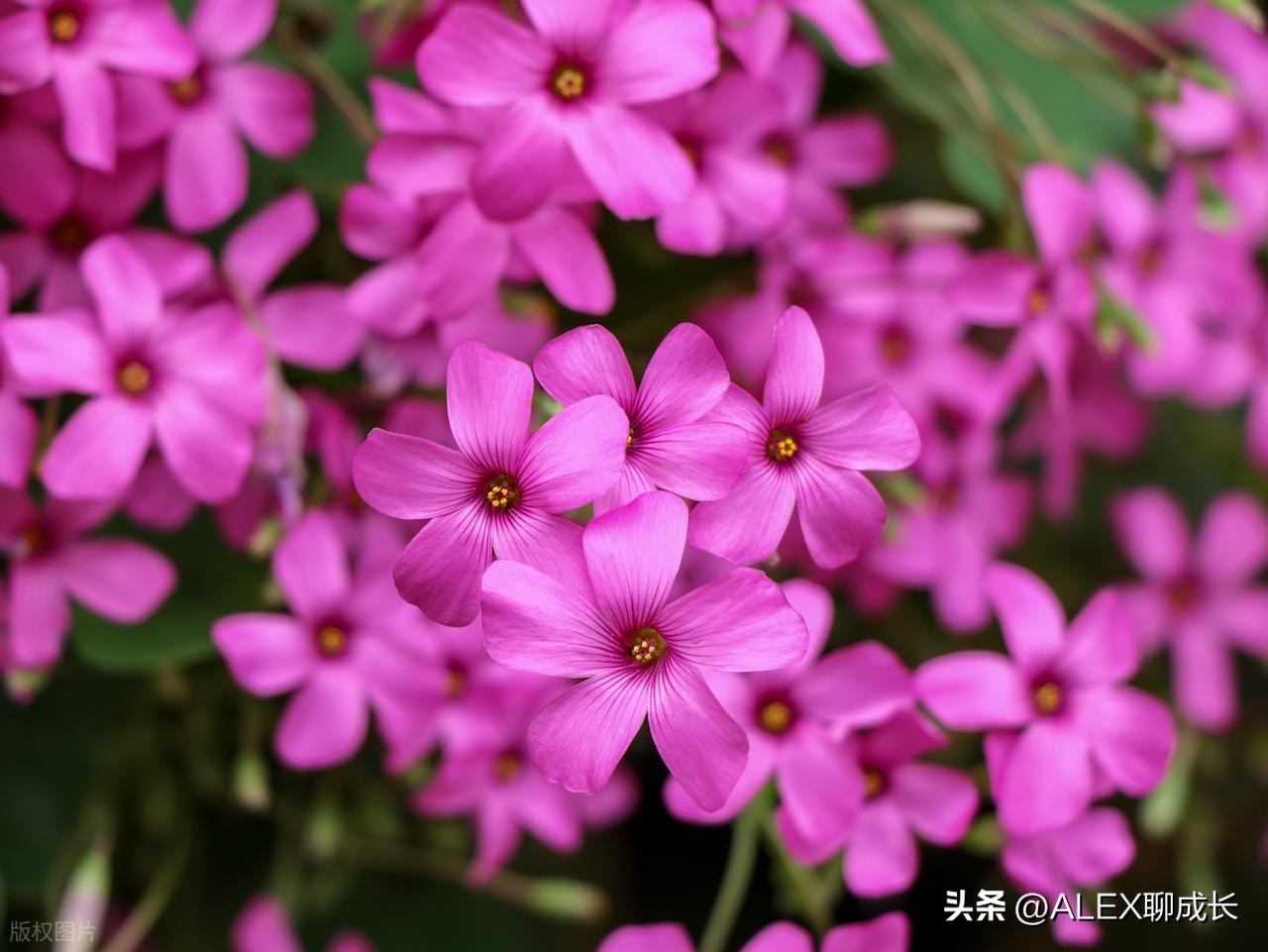 很準!老公有這3種特徵,說明你「嫁了一個好男人」:尤其第3點太寶貴