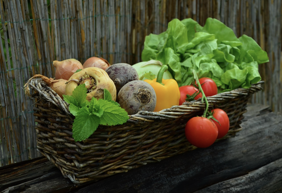 每餐不能吃太飽！研究揭「人瑞長壽4秘訣」　一關鍵「每日啟動身體修復」：不是靠保健品