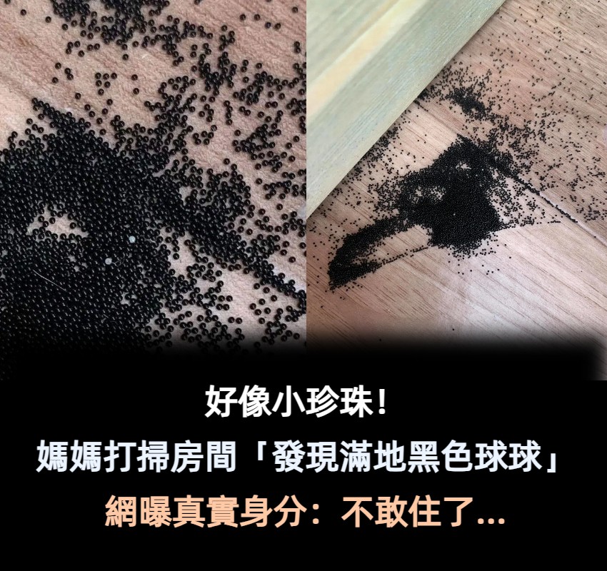 好像小珍珠！媽媽打掃房間「發現滿地黑色球球」　拍照問網友後「得到超驚悚答案」：不敢進房了