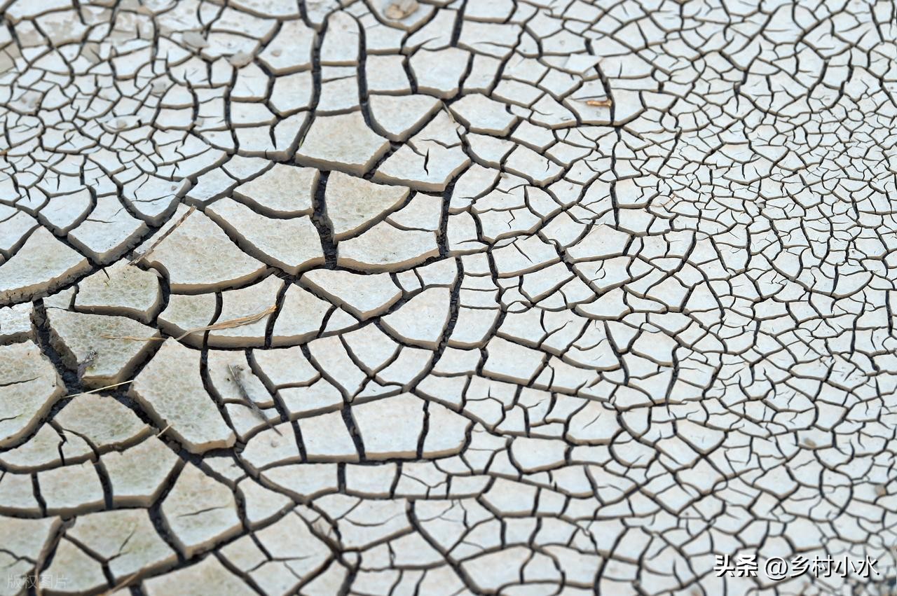 老祖宗流傳：「最怕元宵是雨天！」今日元宵節，元宵節下雨「已預示春季天氣」