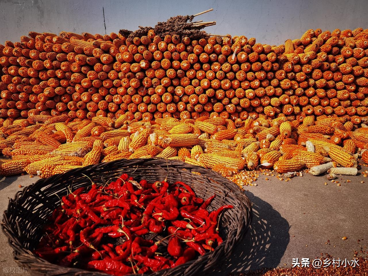 老祖宗流傳：「最怕元宵是雨天！」今日元宵節，元宵節下雨「已預示春季天氣」