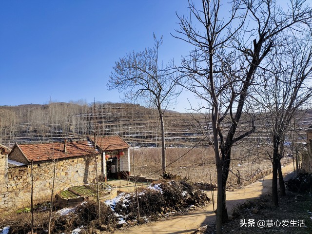 生前堅持輪流養老！87歲母親走後...我才懂了「是最大的不孝」