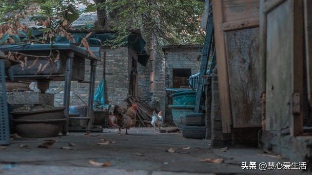 生前堅持輪流養老！87歲母親走後...我才懂了「是最大的不孝」