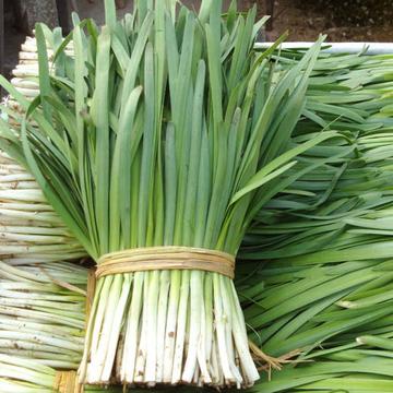 別只會吃香蕉！通便潤腸最厲害的「2果2菜」：實測吃一次「排空隔夜便」超清爽